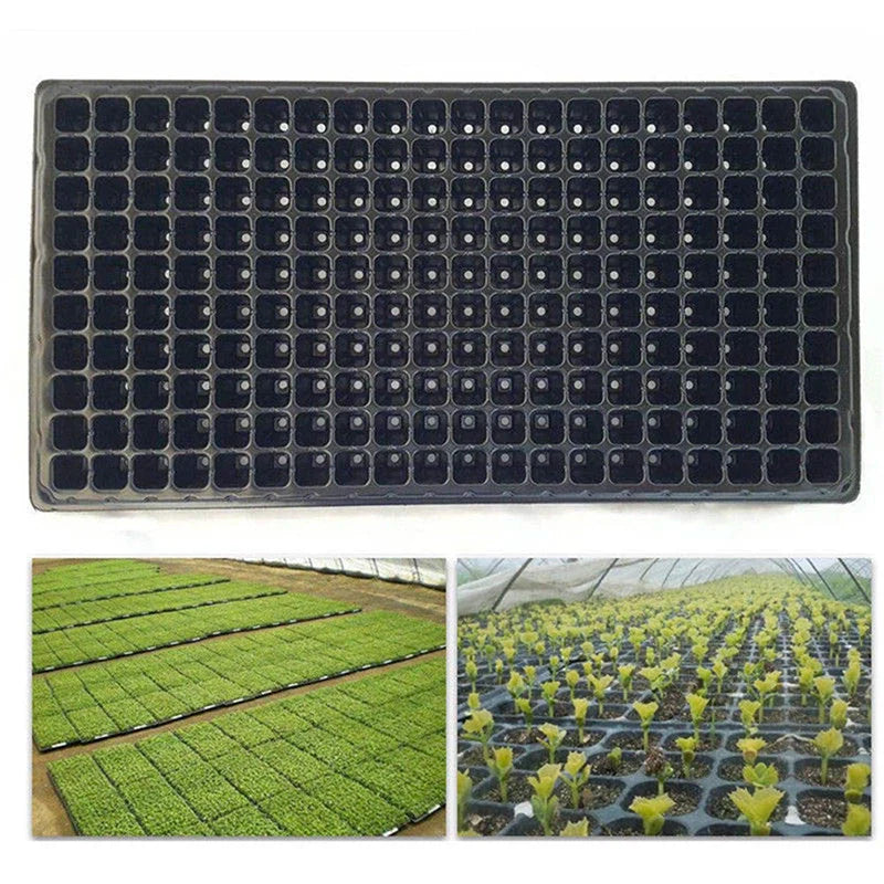 PlantGrow 200er Anzuchtplatte | PVC Keimschale mit Drainage | Wiederverwendbar | Für Gemüse, Kräuter & Obst