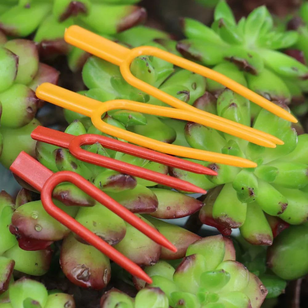 Plantigo Pflanzenfixierer Set | Stabile Pflanzenclips | Fördert gesundes Wachstum | Vielseitig im Garten einsetzbar | Wiederverwendbar & wetterfest