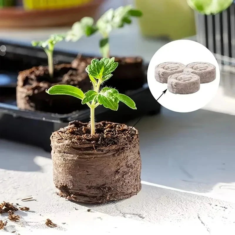 GreenSprout 100 Stück Kokos-Quelltabletten für Pflanzenanzucht | Nährstoffreiche Kokoserde | Ideal für Setzlinge, Gewächshaus & Hydrokultur
