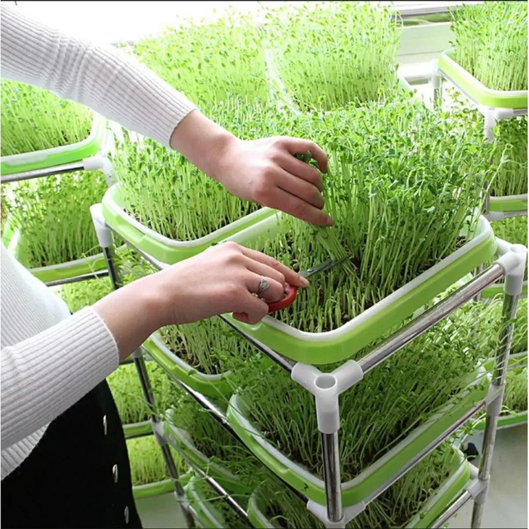 Grünello Keimschale | 2-Schicht-System | Für Microgreens & Sprossen | BPA-freier Kunststoff
