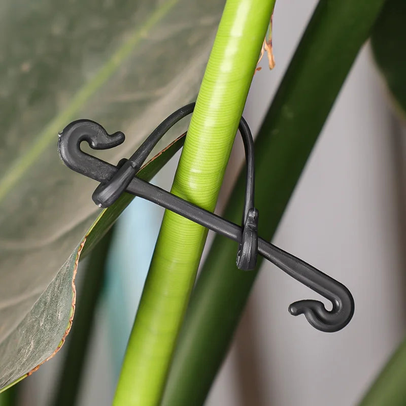 ClipVine Pro | Pflanzenhalter | UV-beständig & Wiederverwendbar | Für Garten & Gewächshaus
