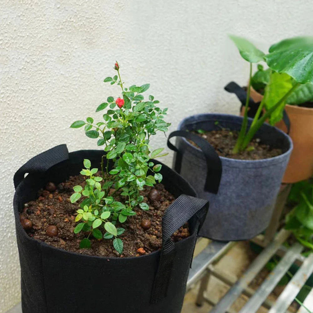Plantura Pflanztasche 30x25 cm mit Griffen | Atmungsaktiv & Wiederverwendbar | Für Gemüse & Kräuter