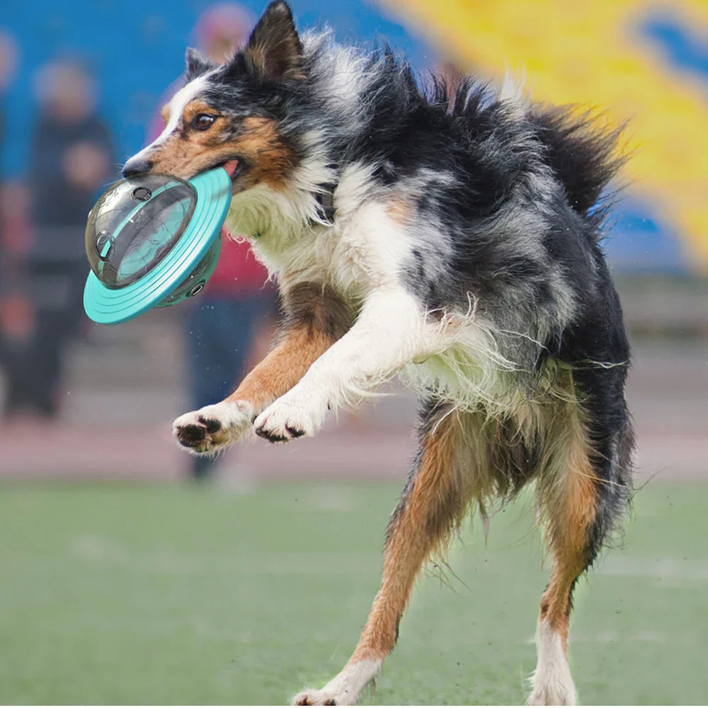 BrainFetch Interaktives Hundespielzeug | 3-in-1 Futterspender | IQ-Training | Stressabbau | Robust & Sicher
