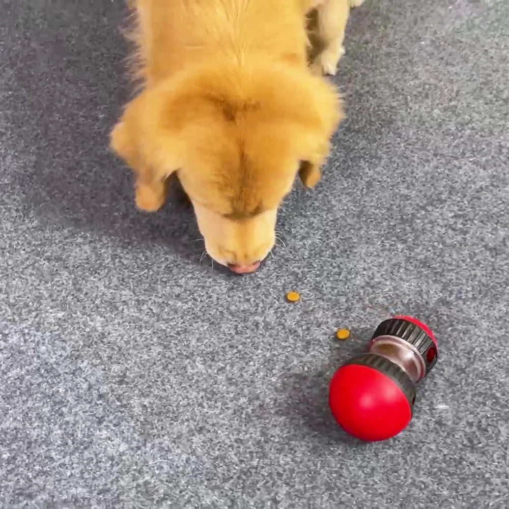 BrainPaw | Intelligenzspielzeug | Futterspender, Anti-Langeweile, Trainingshilfe | Hunde & Katzen