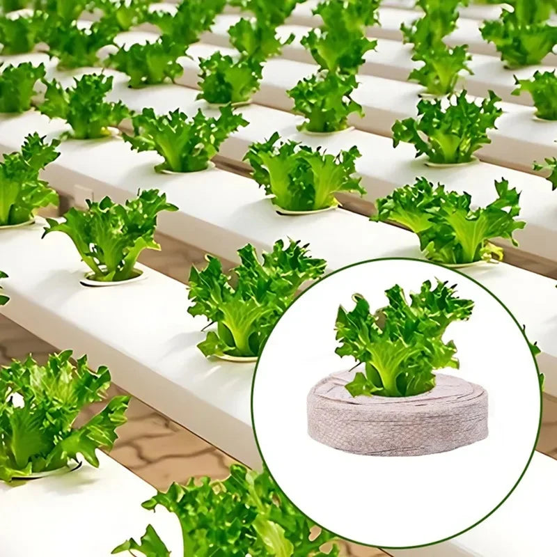 GreenSprout 100 Stück Kokos-Quelltabletten für Pflanzenanzucht | Nährstoffreiche Kokoserde | Ideal für Setzlinge, Gewächshaus & Hydrokultur