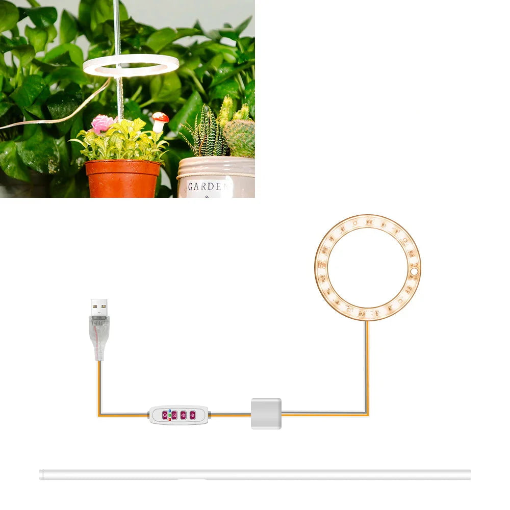 Plantuno Ring Pflanzenlampe | LED Grow Light mit Timer | USB | Dimmbar & 3 Lichtfarben | 1–4 Köpfe