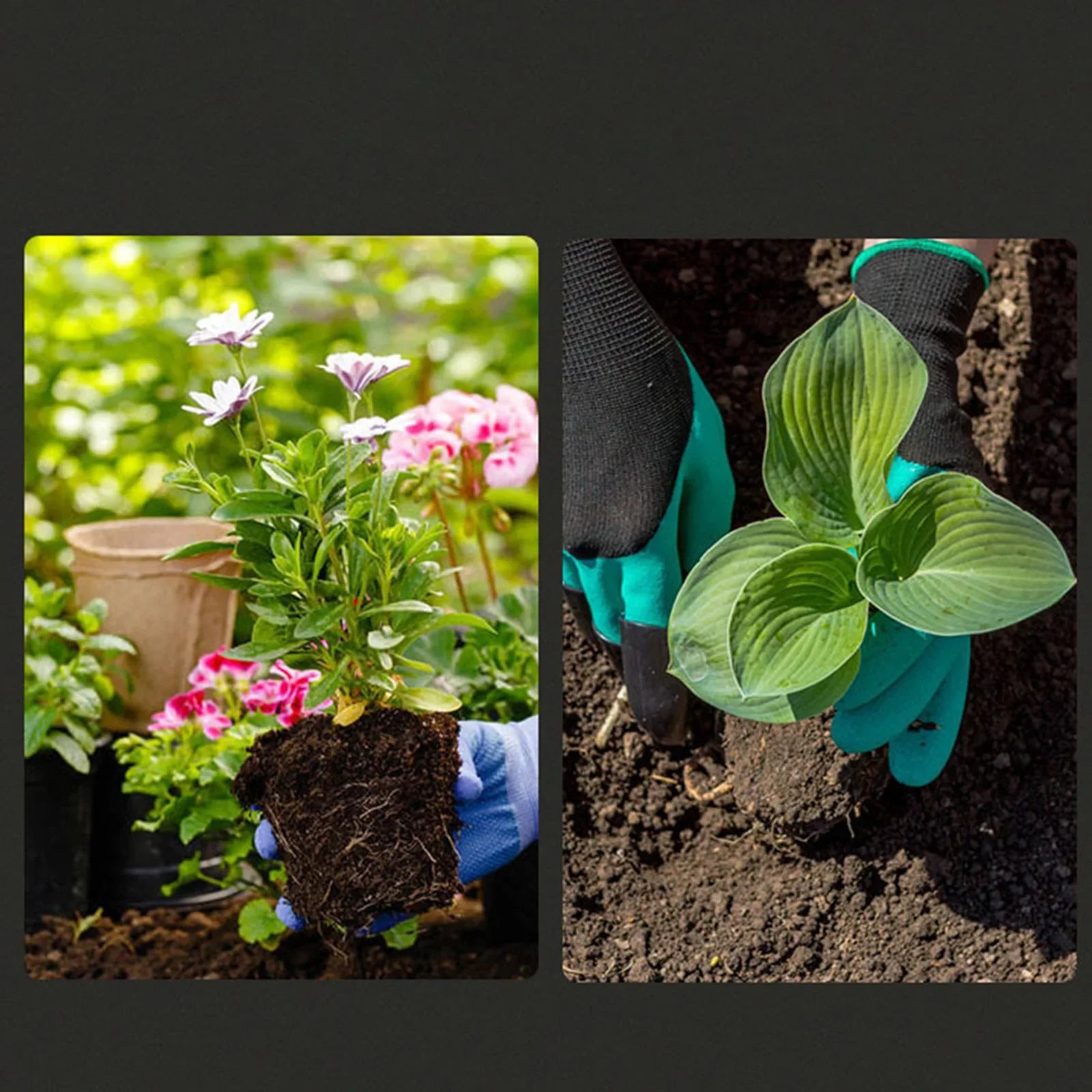 GardenPro Gartenschaufel | Robustes Eisen | Ergonomischer Griff | Vielseitig & Praktisch