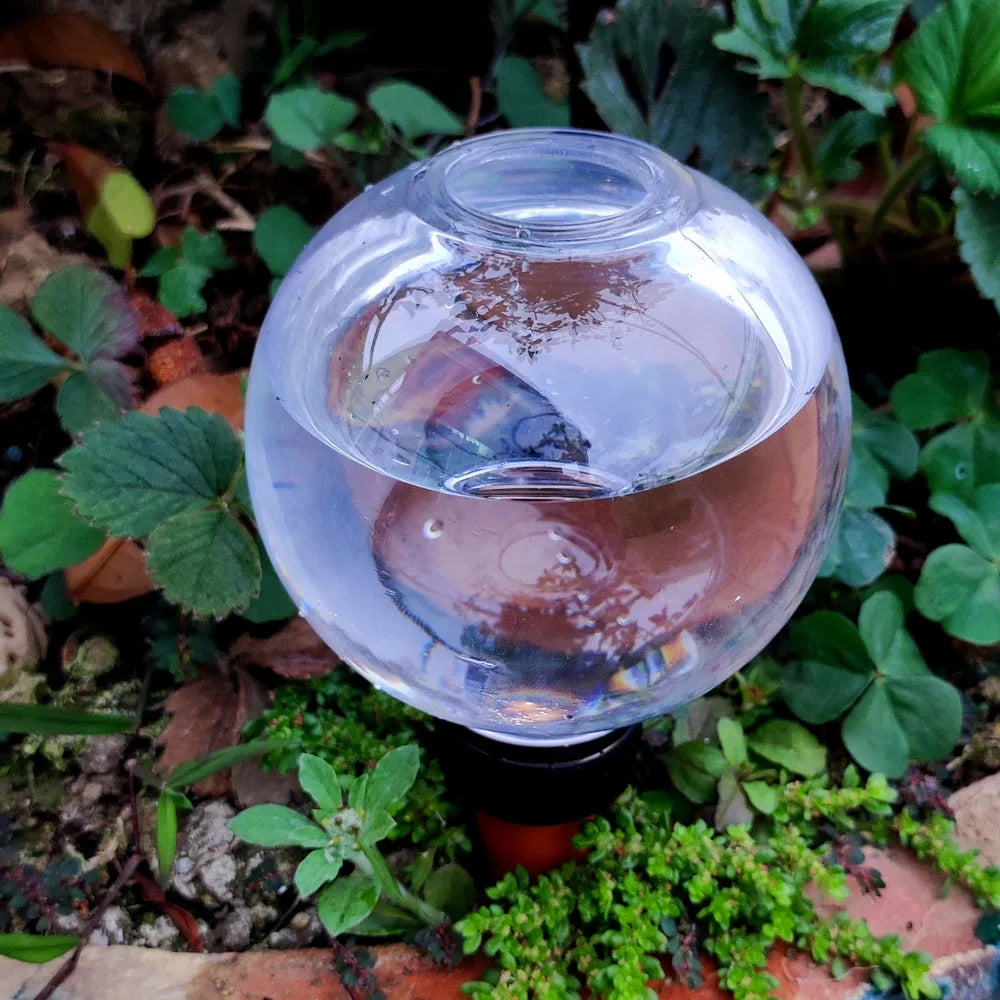 AquaBloom PlantCone | Automatische Pflanzenbewässerung | Für Töpfe & Balkon | Transparent & Praktisch