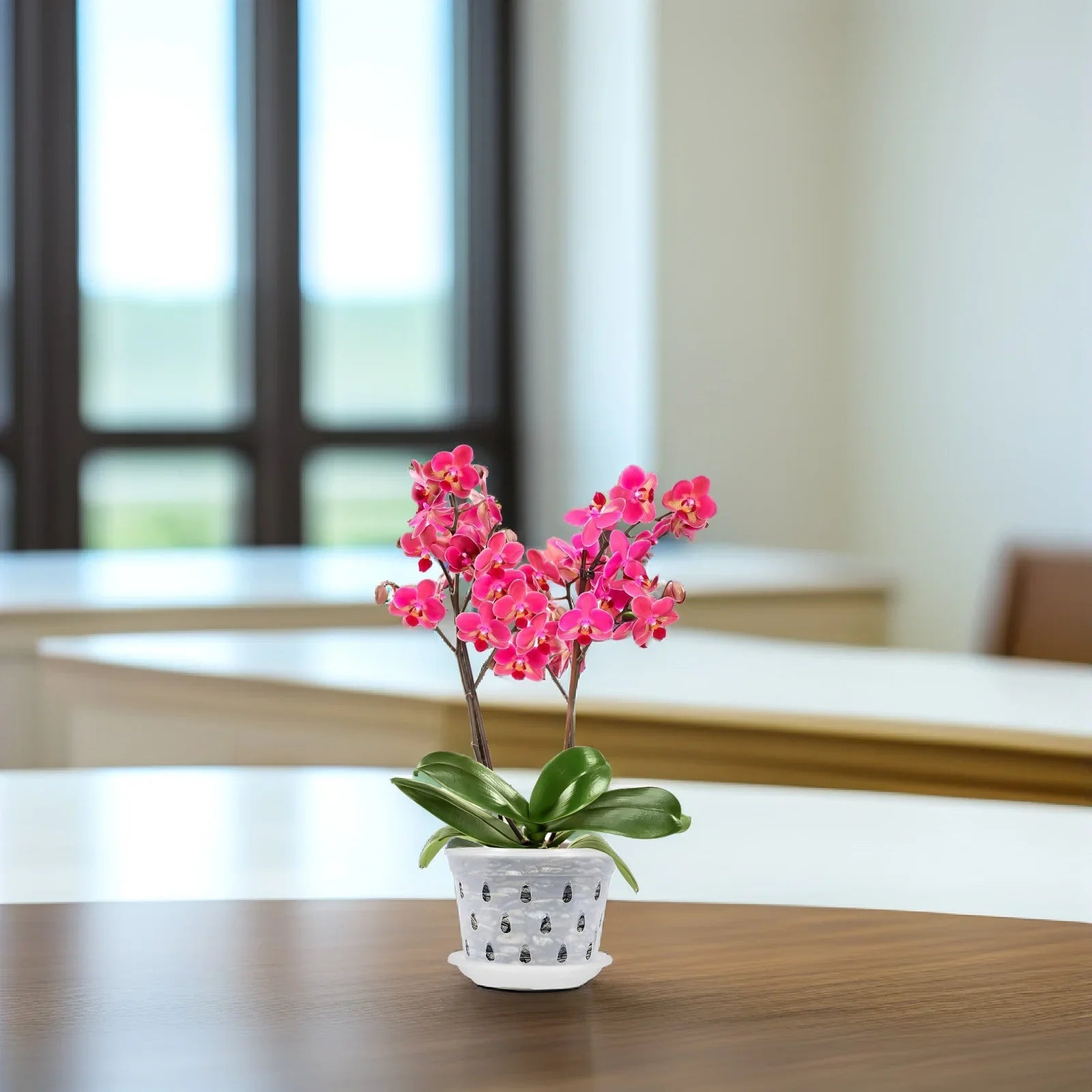 FlorVista | 5er Set Orchideen Blumentöpfe | Transparent & Stabil | Mit Drainagelöchern für Gesundes Wachstum