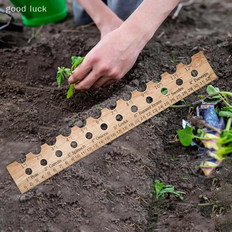 PlantPerfect SeedGuide | Präzises Aussäen für Gesunde Pflanzen | Robustes Holz | Ideal für Gemüse & Kräuter