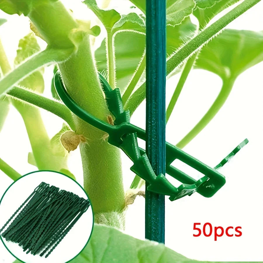 PlantFix | Verstellbare Pflanzenbinder | Wiederverwendbar | 50 Stück Set