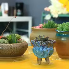 ClearGarden Blumentopfuntersetzer | Transparente & Vielseitige Abdeckung | Recycelbares PET