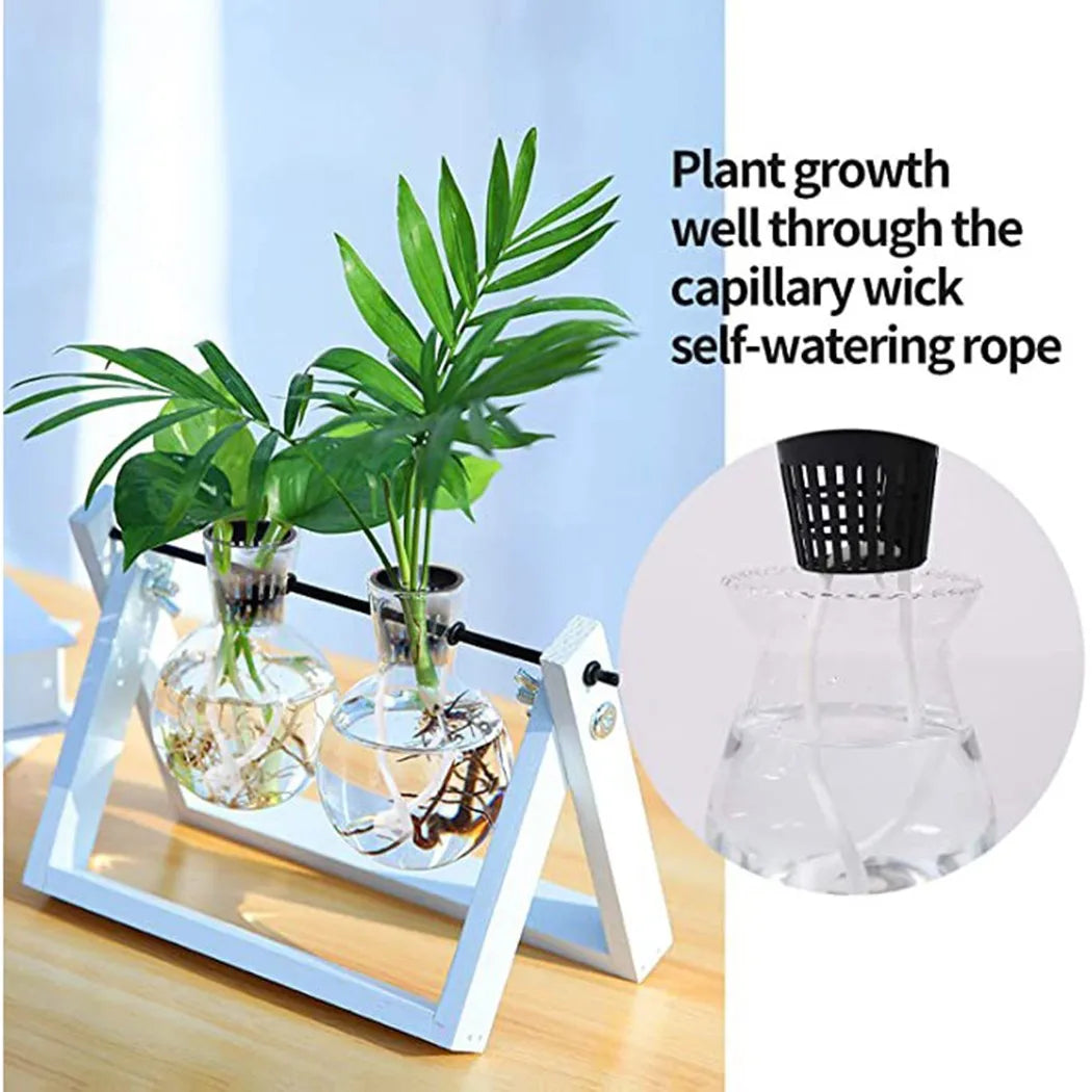 HydroGrow | 25er Set Hydroponik Netztöpfe | Wiederverwendbar | Für Aeroponik & Hydrokultur