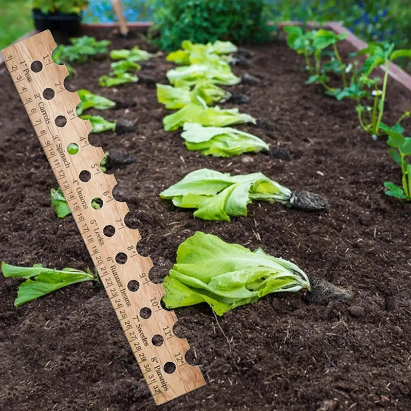 PlantPerfect SeedGuide | Präzises Aussäen für Gesunde Pflanzen | Robustes Holz | Ideal für Gemüse & Kräuter