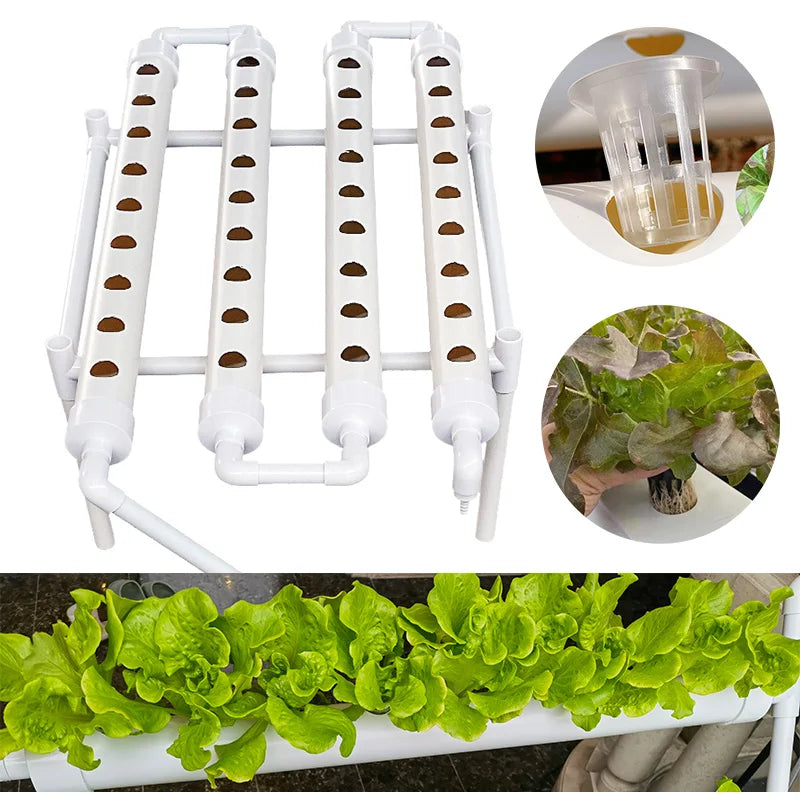 EcoHarvest 36 | Indoor Hydroponik-System | Mit Pumpe & Timer | Für Kräuter & Gemüse | 36 Pflanzplätze Weiß