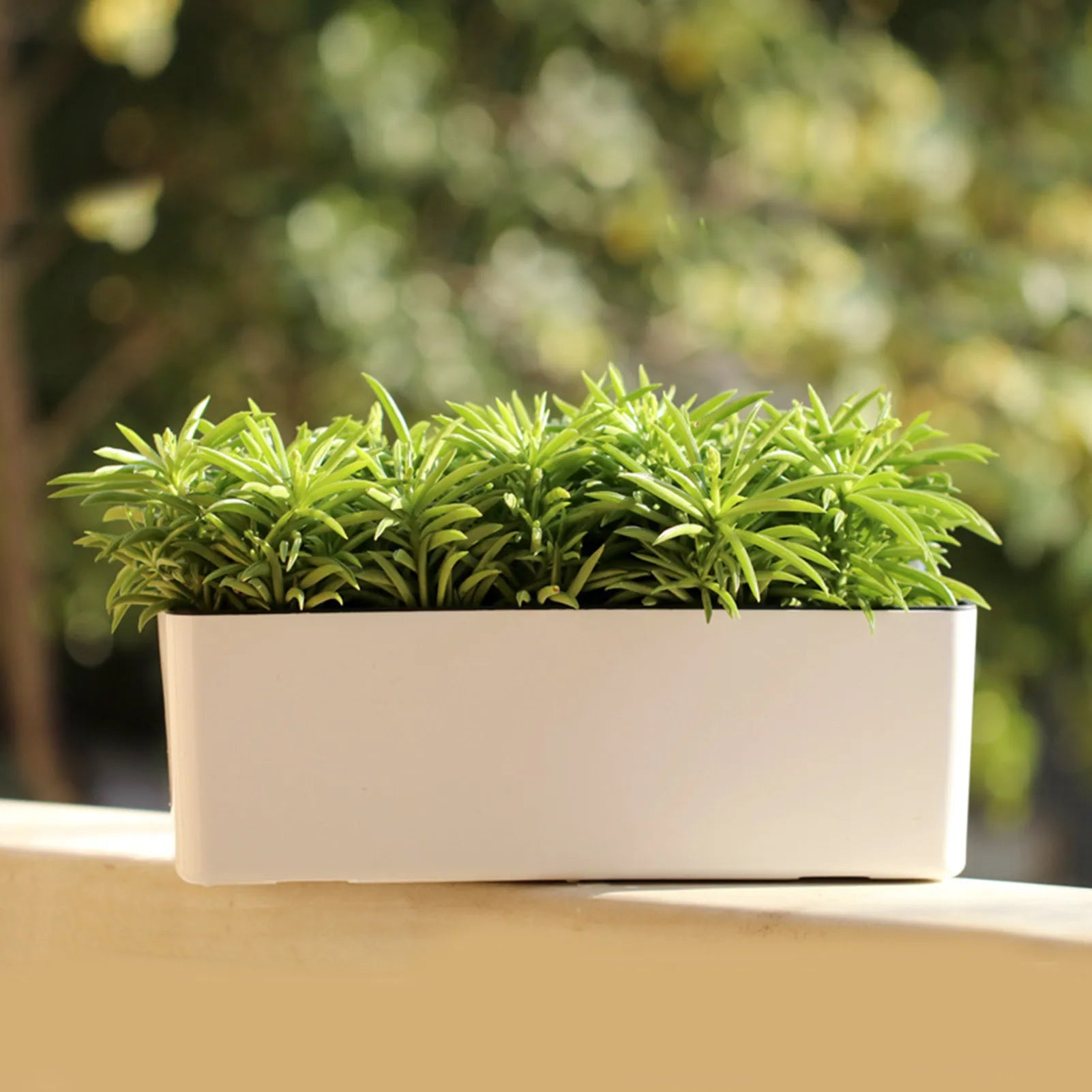 FloraSensi SmartPot | Blumentopf mit Wasserstandsanzeige | Selbstbewässernd | Für drinnen & draußen | 30 cm Weiß