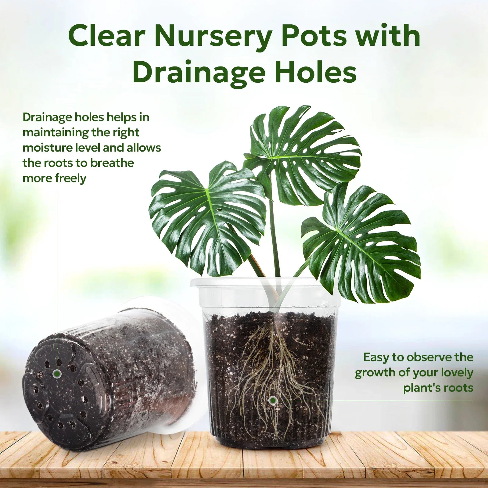 ClearRoot Pots | Transparente Pflanztöpfe | Mit Drainage | Für Anzucht & Zimmerpflanzen