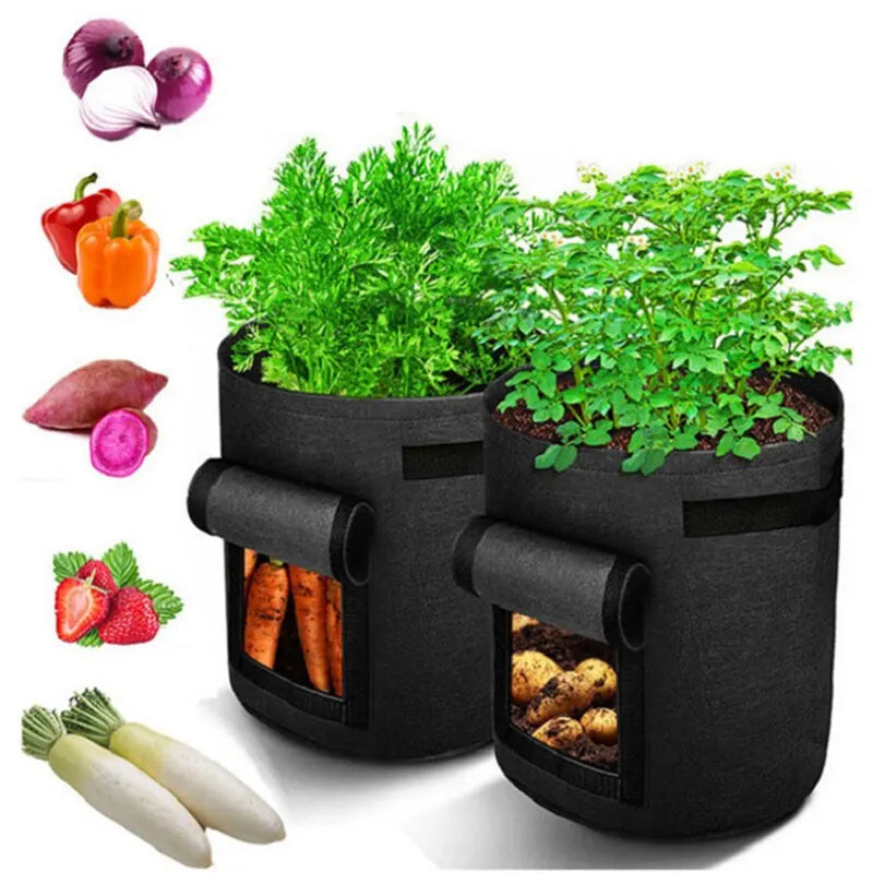 PlantMaster | Pflanzsack mit Sichtfenster | Atmungsaktives Vliesmaterial | Ideal für Gemüse und Kräuter