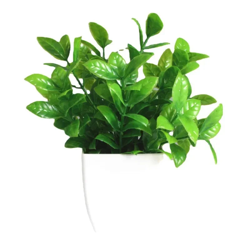 Everleaf Bonsai | Eukalyptus Design | Pflegeleicht & Langlebig | Dekorativ