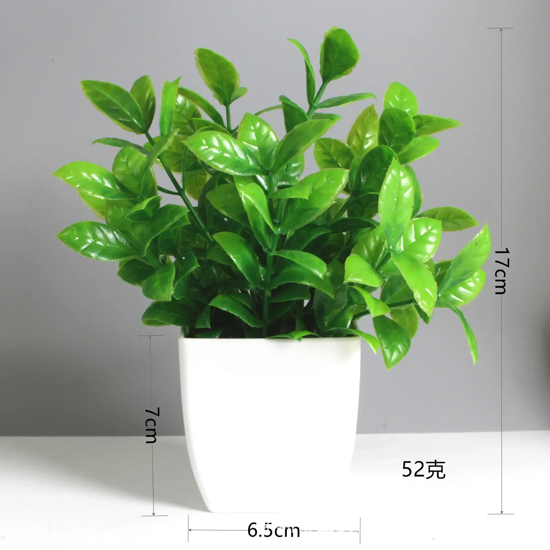 Everleaf Bonsai | Eukalyptus Design | Pflegeleicht & Langlebig | Dekorativ
