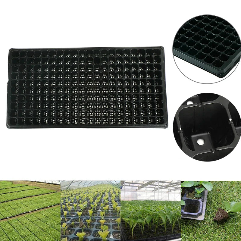 PlantGrow 200er Anzuchtplatte | PVC Keimschale mit Drainage | Wiederverwendbar | Für Gemüse, Kräuter & Obst
