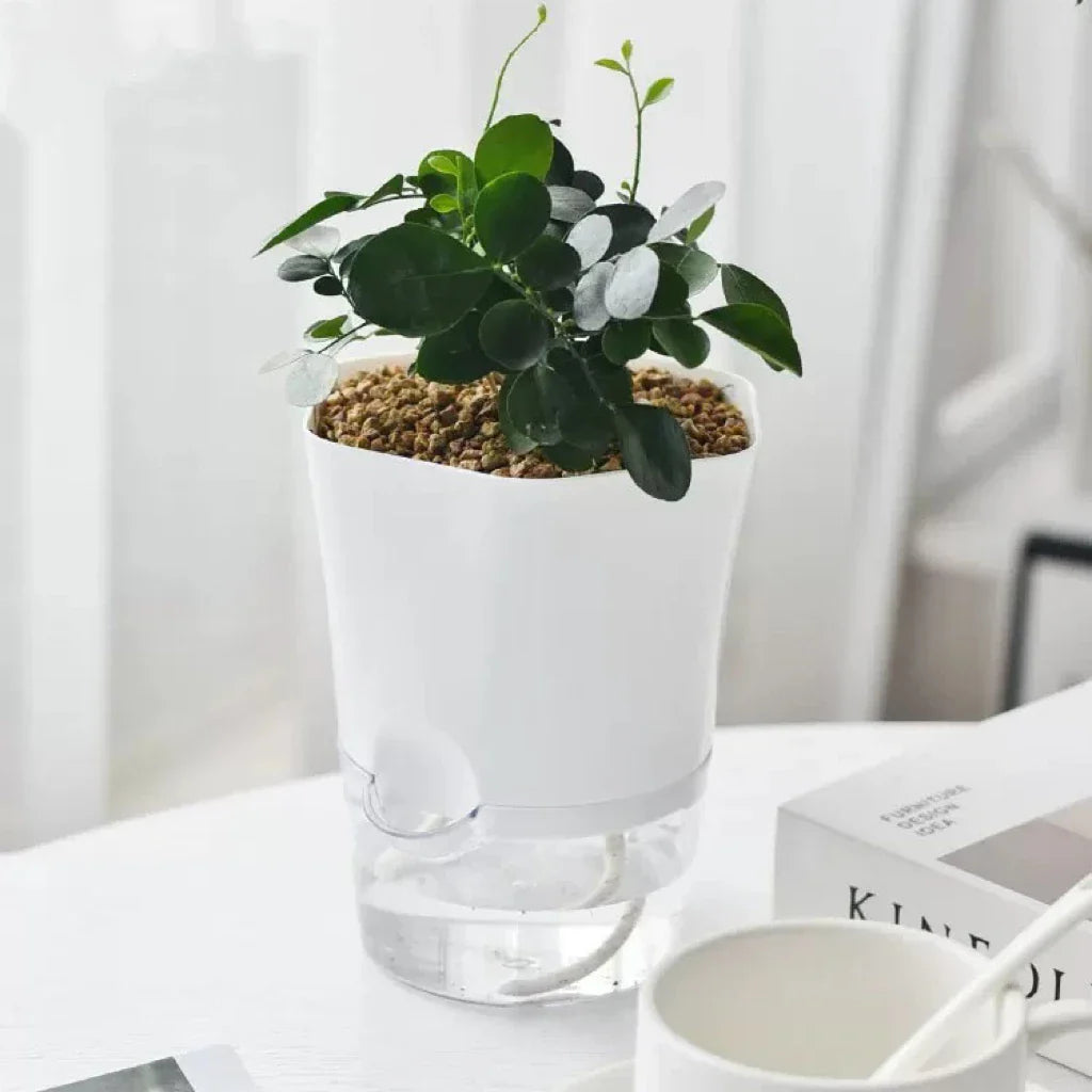 Plantilo Selbstbewässernder Blumentopf | Transparent | Automatische Wasserzufuhr | Für Zimmerpflanzen