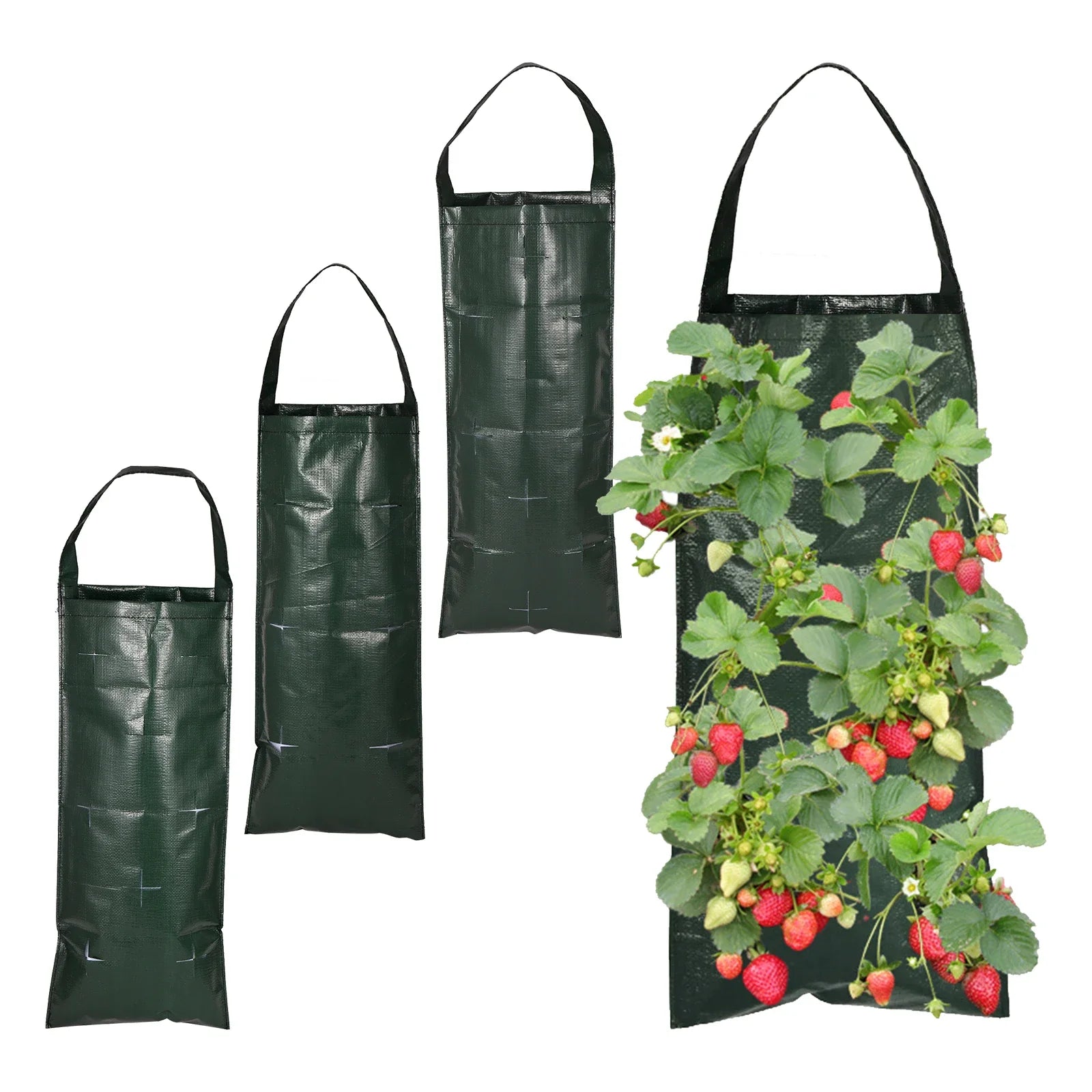 GreenWall Vertikale Pflanztasche | Kompakt & Wiederverwendbar | Für Innen & Außen