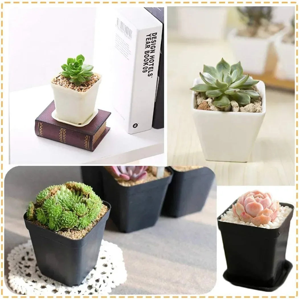 Bloomigo Mini Blumentopf Set | Bunte Farben | Wetterfest & Belüftet | Für Balkon & Indoor
