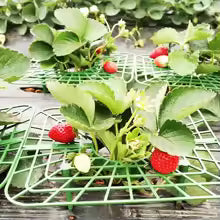 AgriFlex GrowSupport | Pflanzenstützen | 45° Winkel Design | Wetterbeständig