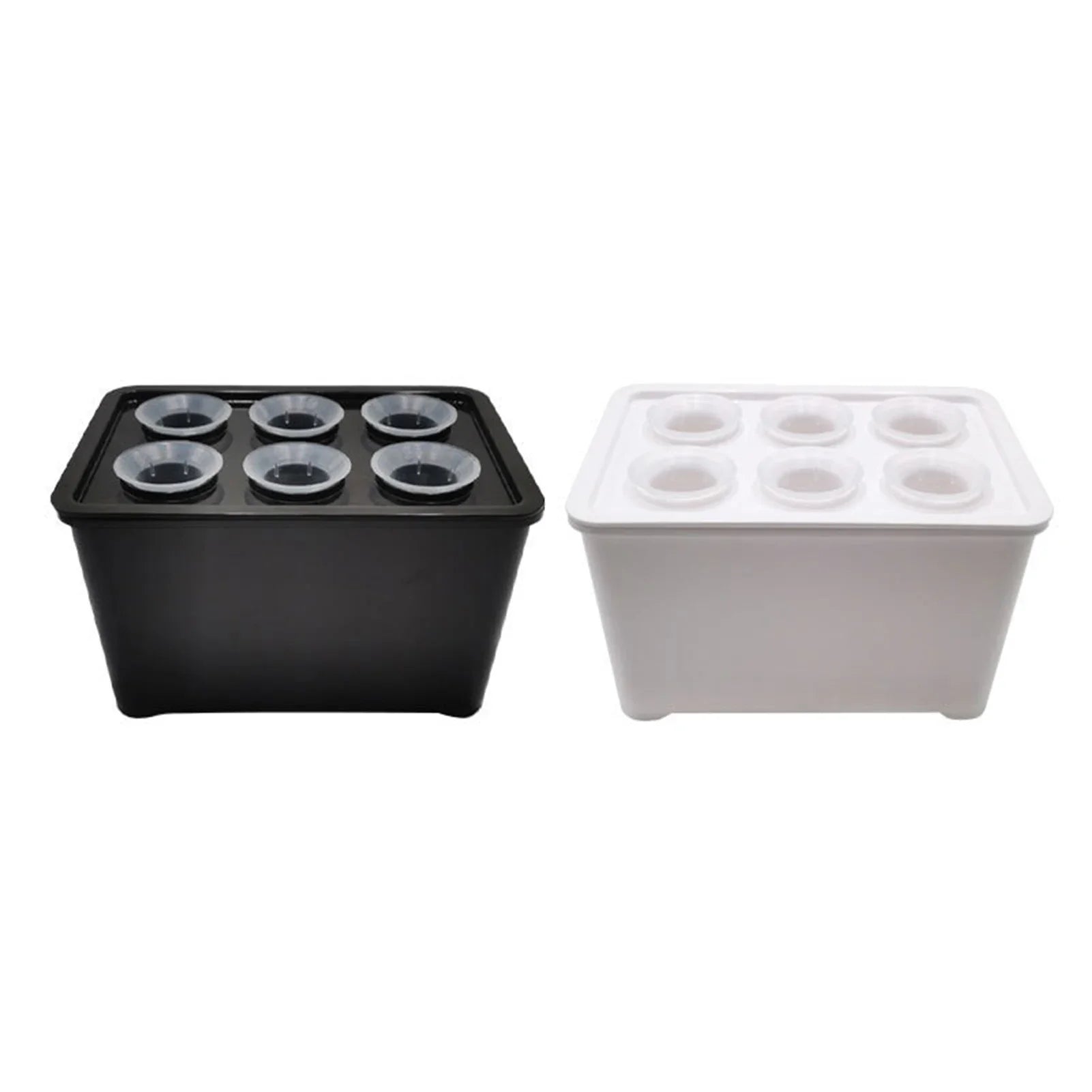 Hydroverde Indoor-Grow-Set | Hydroponisches Anzuchtsystem | Selbstbewässernd | Für Kräuter & Stecklinge