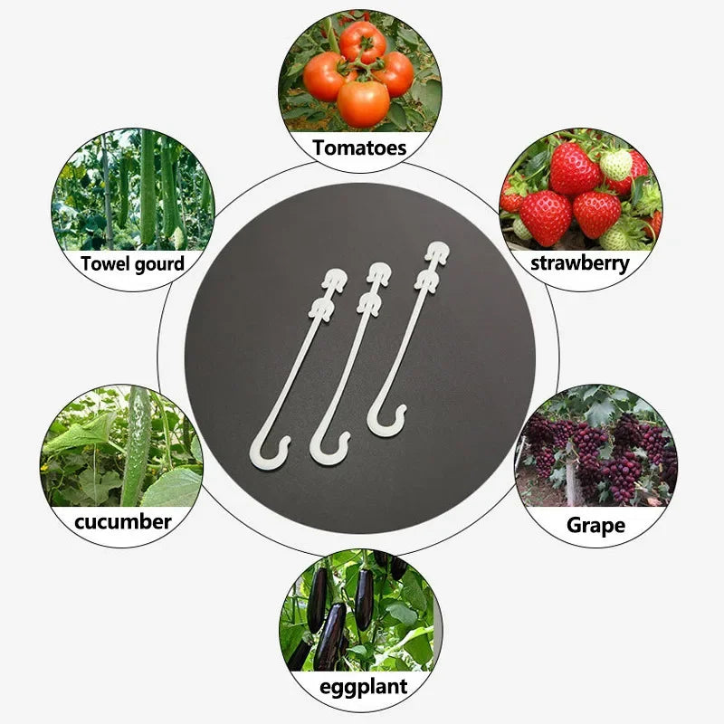 PlantFix | Pflanzenhaken Set | Formstabil & Wiederverwendbar | Für Rankpflanzen