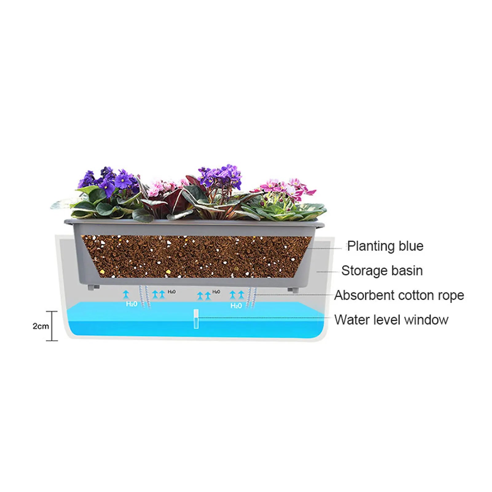PlantCare Pro | Selbstbewässernder Pflanztopf | Mit Wasserstandsanzeige | Für Zimmerpflanzen
