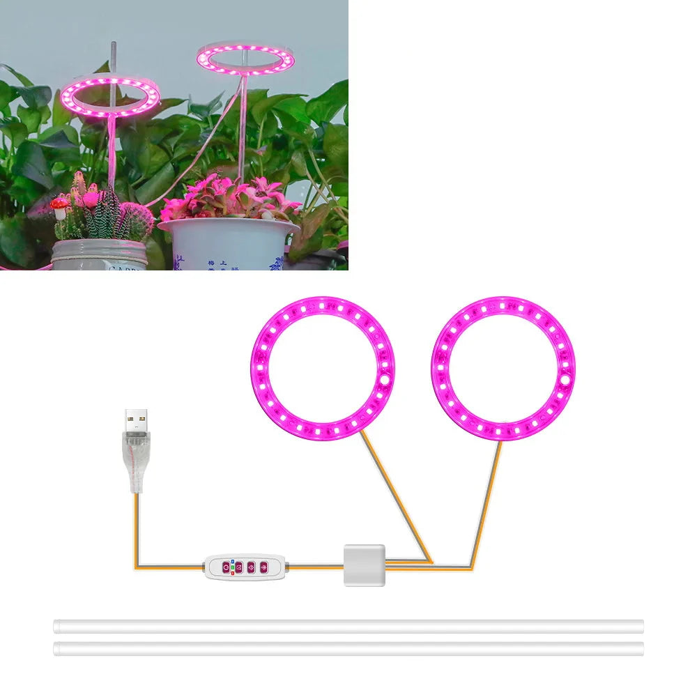Plantuno Ring Pflanzenlampe | LED Grow Light mit Timer | USB | Dimmbar & 3 Lichtfarben | 1–4 Köpfe