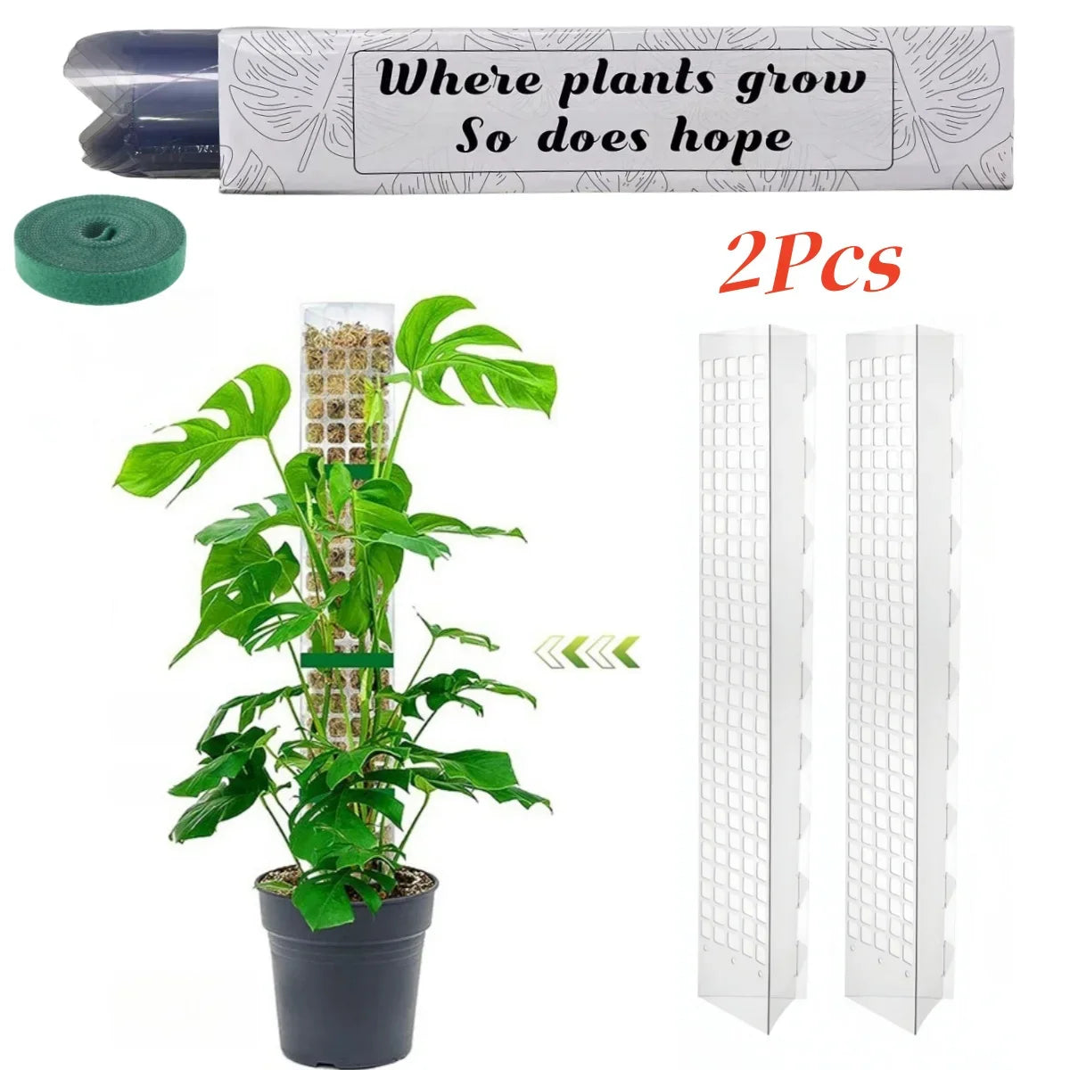 GrowMaster ClimbaLeaf Moosstab-Set | Transparent & Flexibel | Für Kletterpflanzen | Fördert Vertikales Wachstum