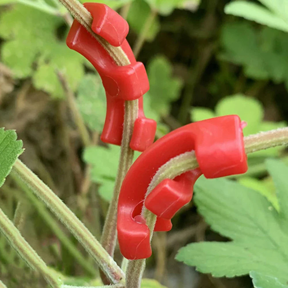 PlantFlexx Pflanzen-Clips | Low-Stress-Training für Besseres Wachstum | Für Triebe & Kräuter | Wiederverwendbar