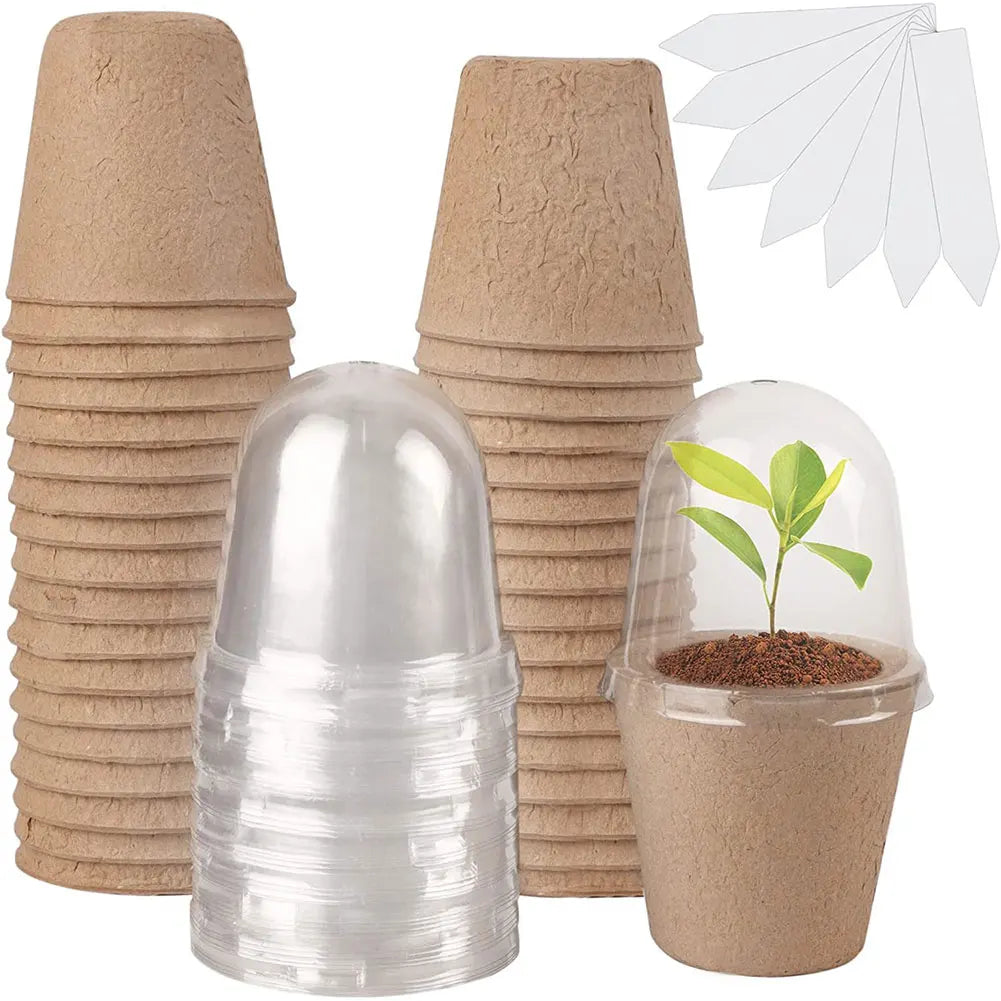 GreenSprout Bio-Anzuchtset | Kompostierbare Töpfe & Mini-Gewächshaus | Für Nachhaltige Pflanzenzucht