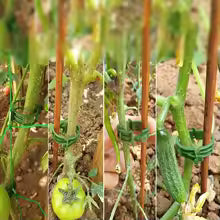 GrowClip | Pflanzenclips | Schnellverschluss für Empfindliche Pflanzen | Wiederverwendbar