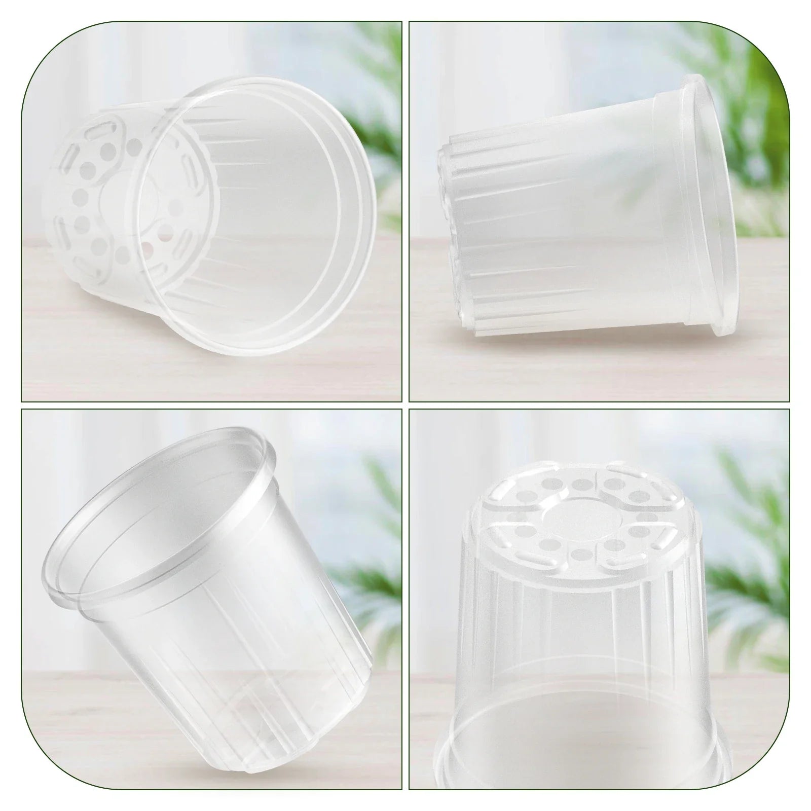 ClearRoot Pots | Transparente Pflanztöpfe | Mit Drainage | Für Anzucht & Zimmerpflanzen