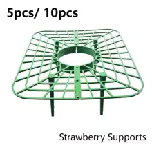 AgriFlex GrowSupport | Pflanzenstützen | 45° Winkel Design | Wetterbeständig