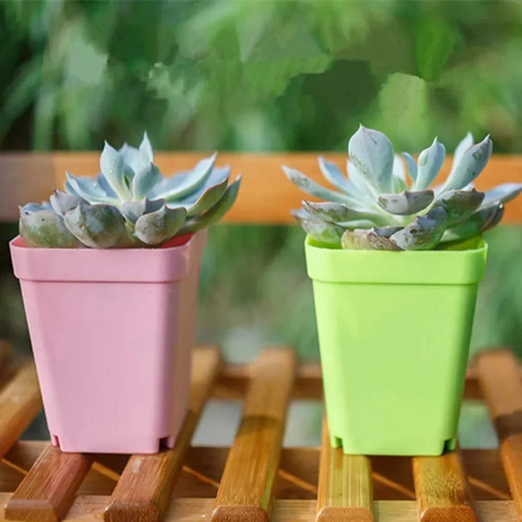Bloomigo Mini Blumentopf Set | Bunte Farben | Wetterfest & Belüftet | Für Balkon & Indoor
