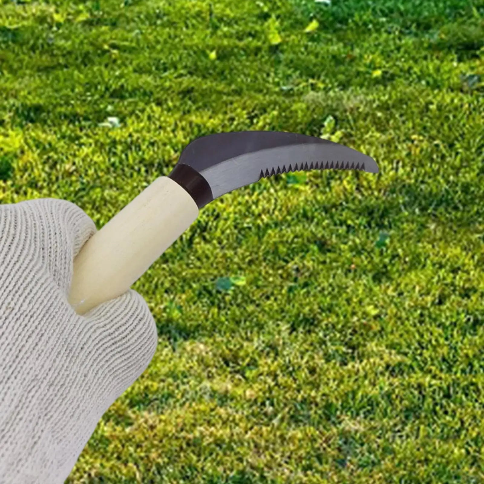 ZenWeed Gartenmesser | Präzise Edelstahlklinge | Ergonomischer Holzgriff | Kompakt & Handlich