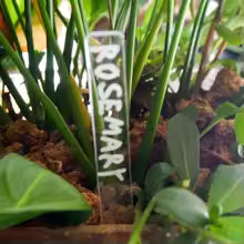 PlantLabel | Pflanzenetiketten Set | Wiederbeschriftbar & Langlebig | Für Garten & Balkon