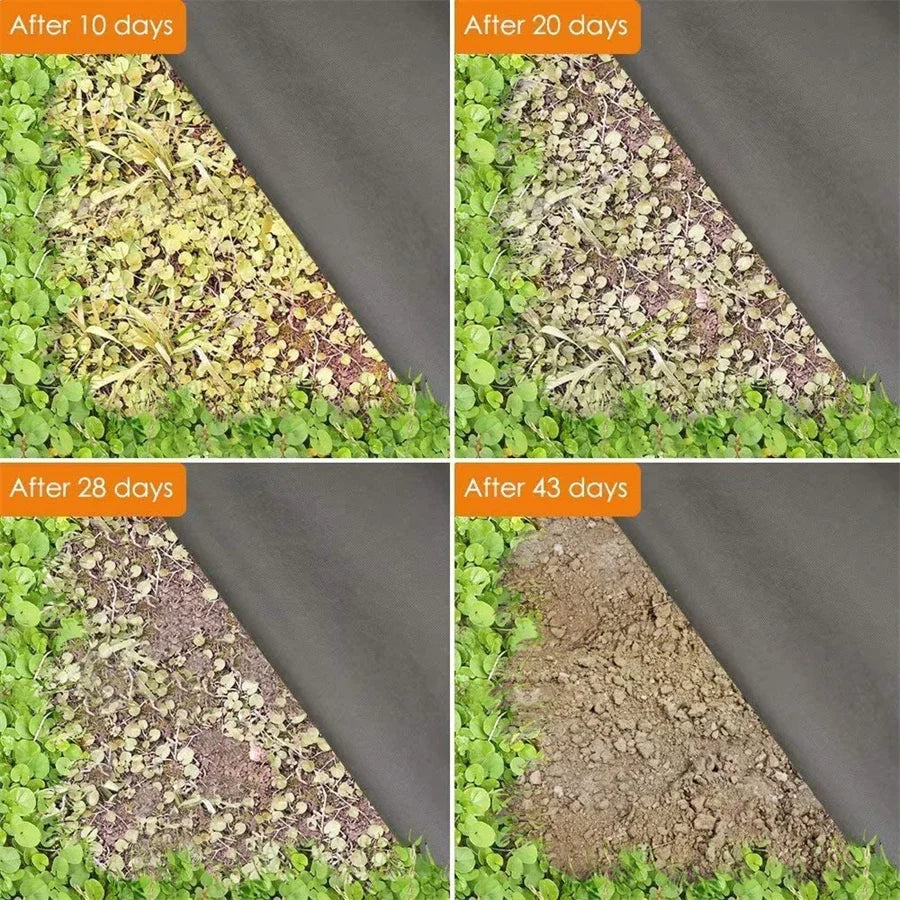 TerraGuard Pro | Unkrautfolie | UV-beständig & Wasserdurchlässig | Widerstandsfähig