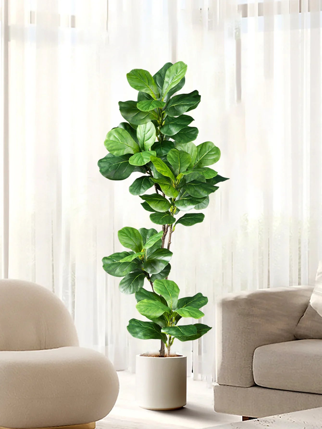 Floraviva Kunstpflanze Ficus | Naturgetreue Optik | 70–135 cm | Für Innen & Außen
