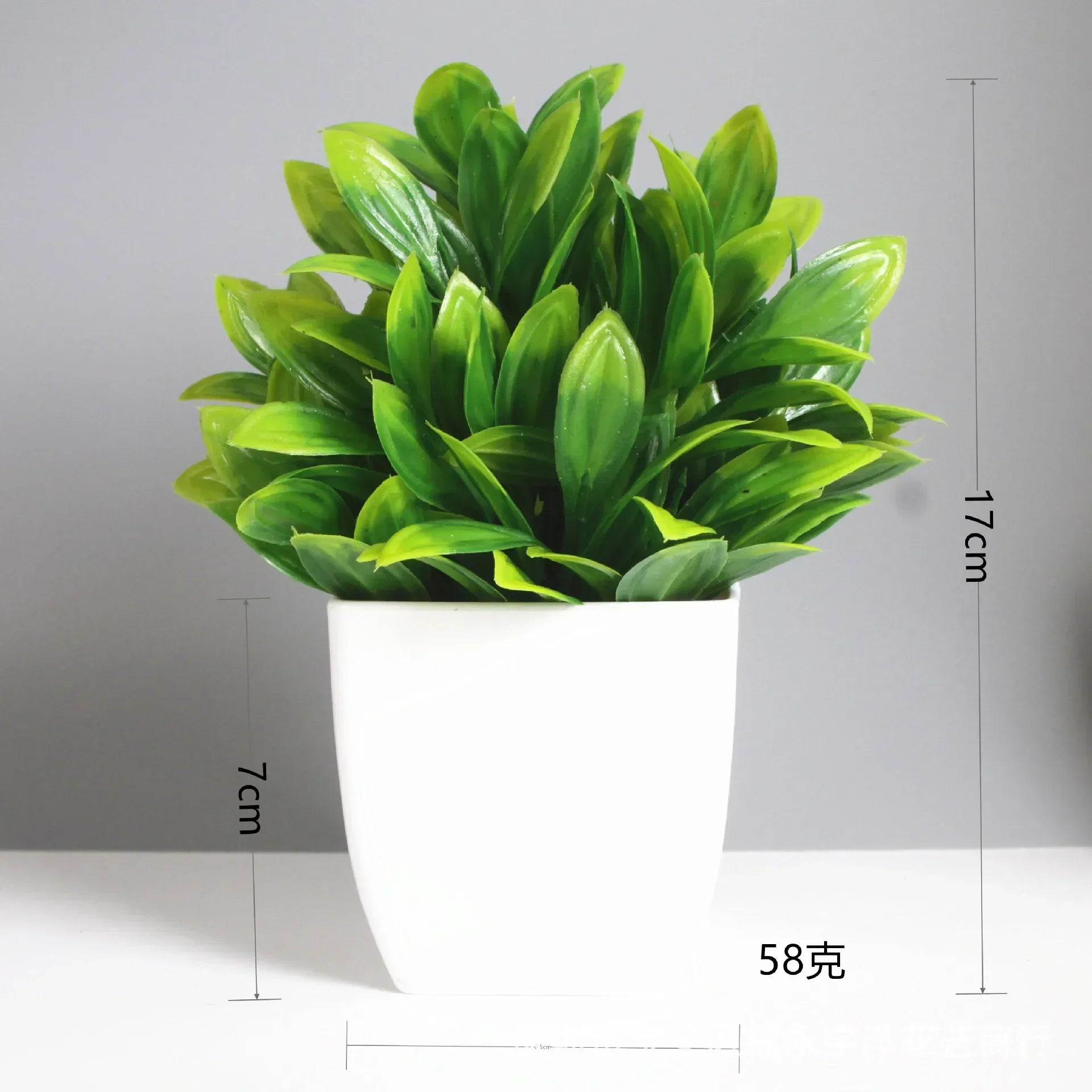 Everleaf Bonsai | Eukalyptus Design | Pflegeleicht & Langlebig | Dekorativ