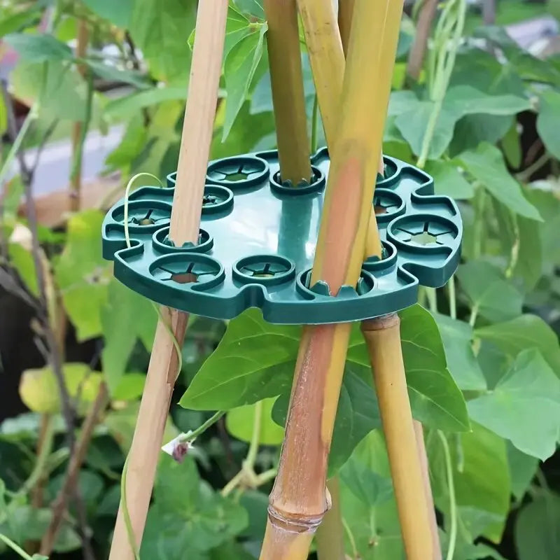 PlantPro Ring | Stabile Pflanzenstütze | UV-beständig & Flexibel | Kunststoff