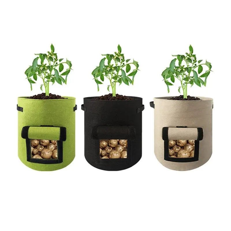 PlantMaster | Pflanzsack mit Sichtfenster | Atmungsaktives Vliesmaterial | Ideal für Gemüse und Kräuter