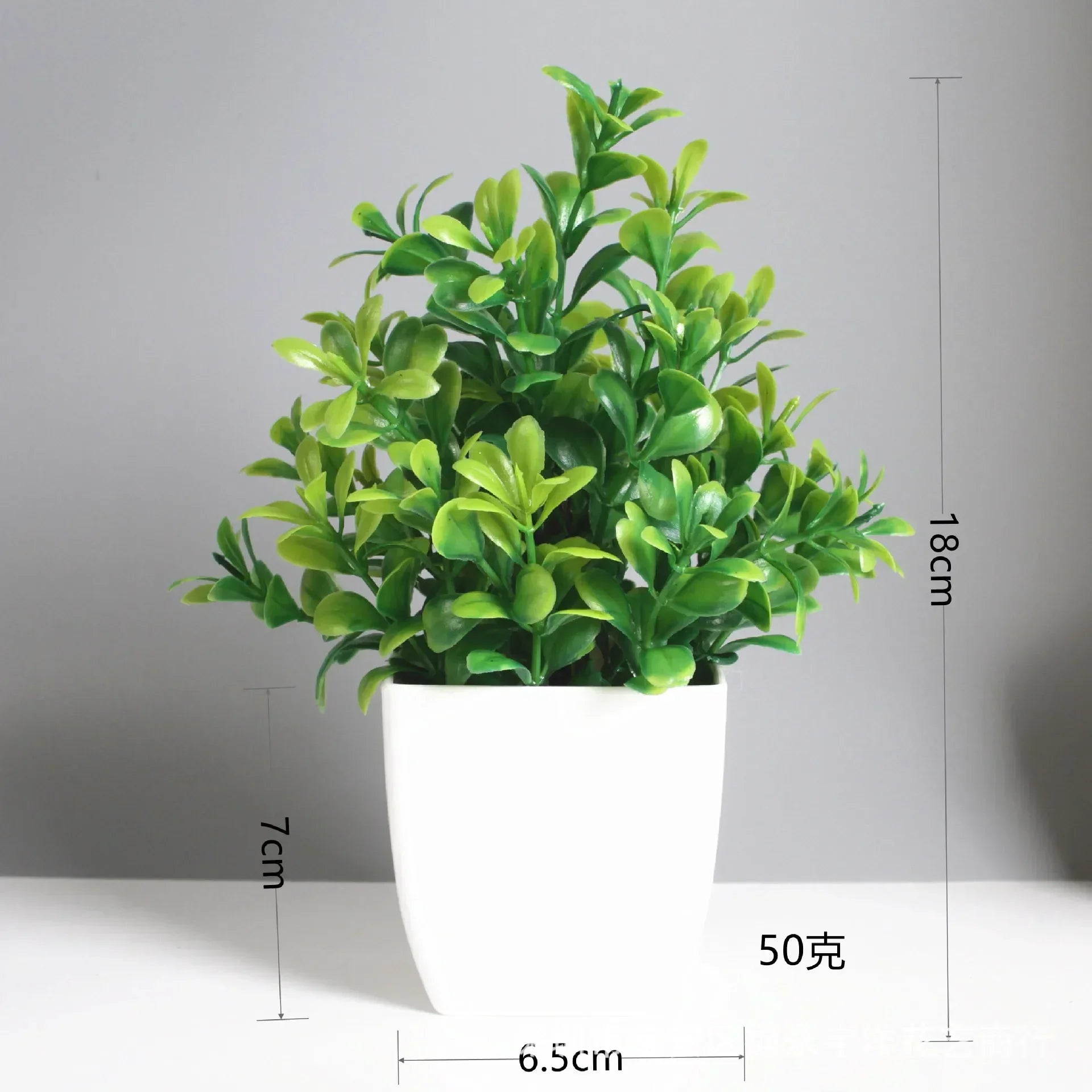 Everleaf Bonsai | Eukalyptus Design | Pflegeleicht & Langlebig | Dekorativ