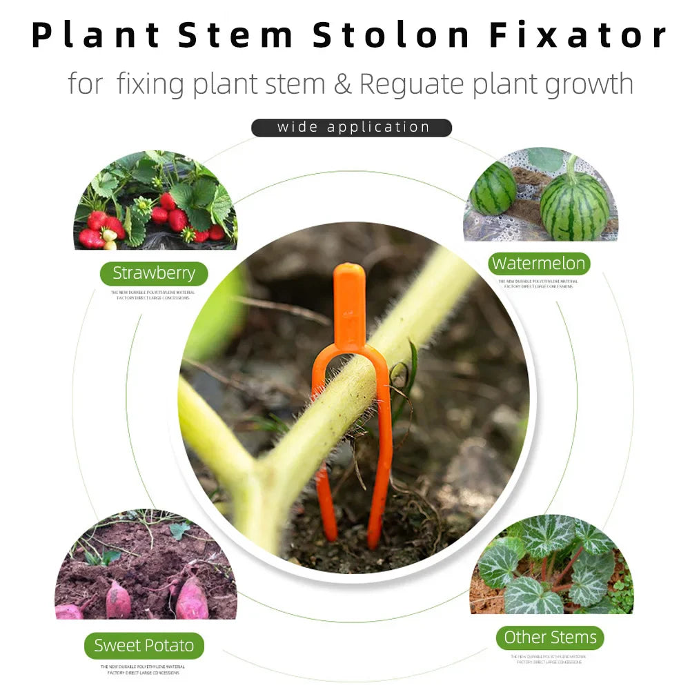 Plantigo Pflanzenfixierer Set | Stabile Pflanzenclips | Fördert gesundes Wachstum | Vielseitig im Garten einsetzbar | Wiederverwendbar & wetterfest