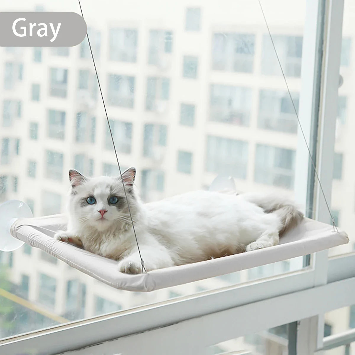 Purrvana | Fensterliege Für Katzen | Starke Saugnäpfe | Waschbar | Bis 20 kg Tragkraft